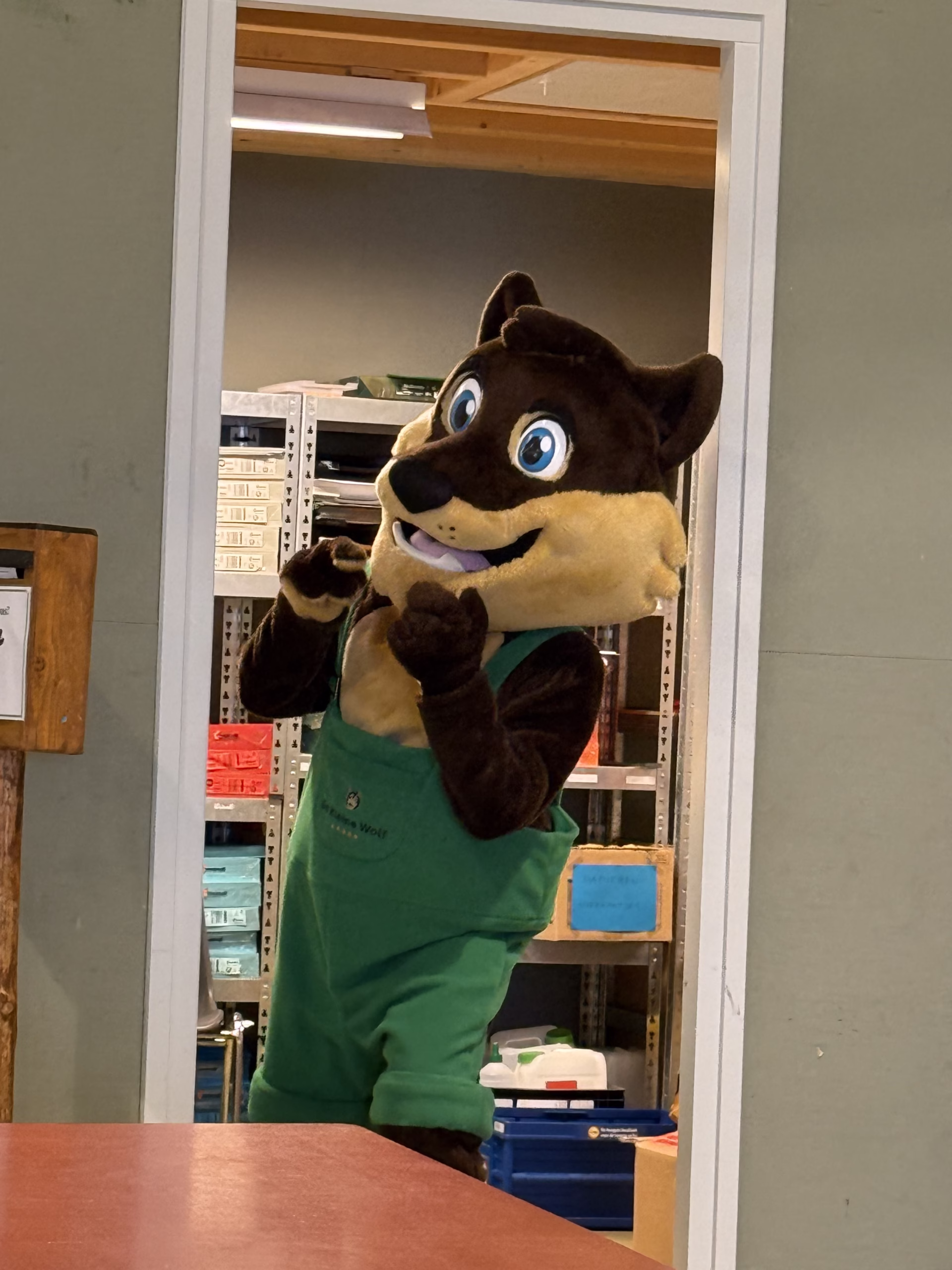 Hertjes rusten in de dierenweide op de camping